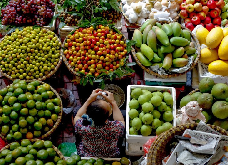 ជំរុញការនាំចេញមុខទំនិញកសិផលចូលសឹង្ហបុរី - ảnh 1